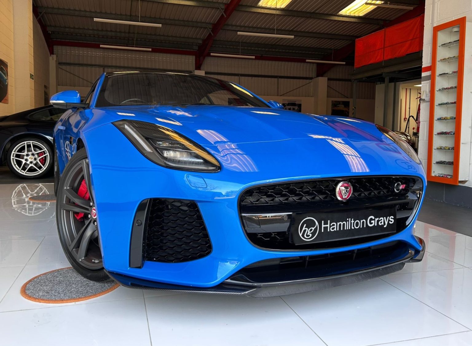 Jaguar Blue Halftan main image 0